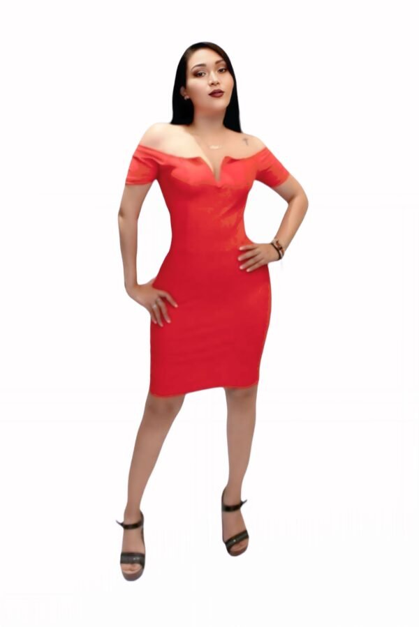 VESTIDO ALONDRA